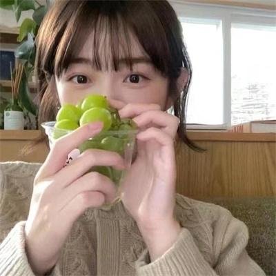 觅法奇程