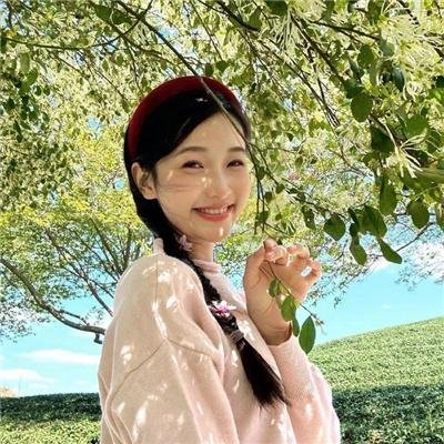 公主复仇者